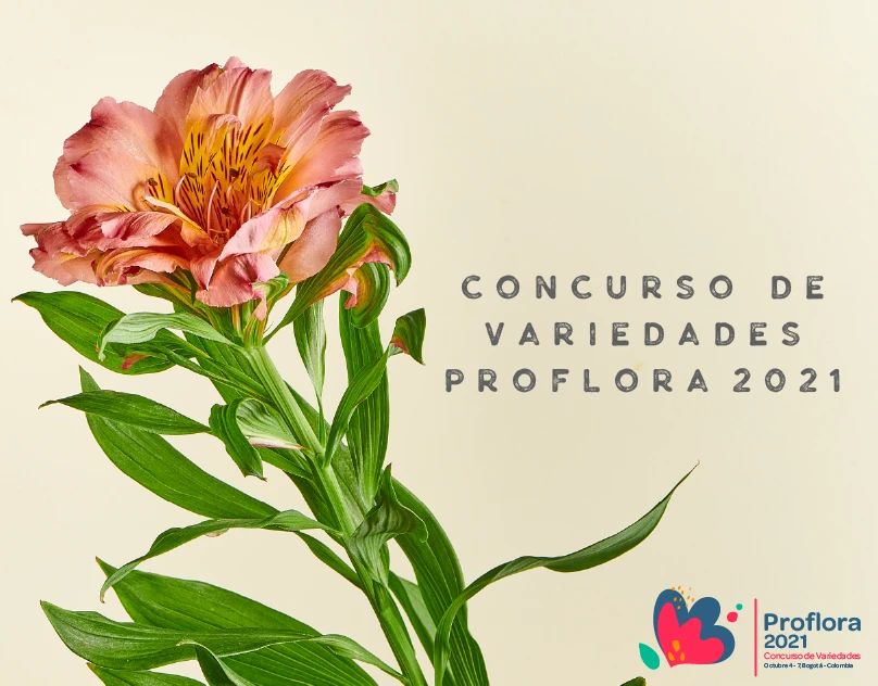 Concurso de variedades 2021 - Silvestres Flowers