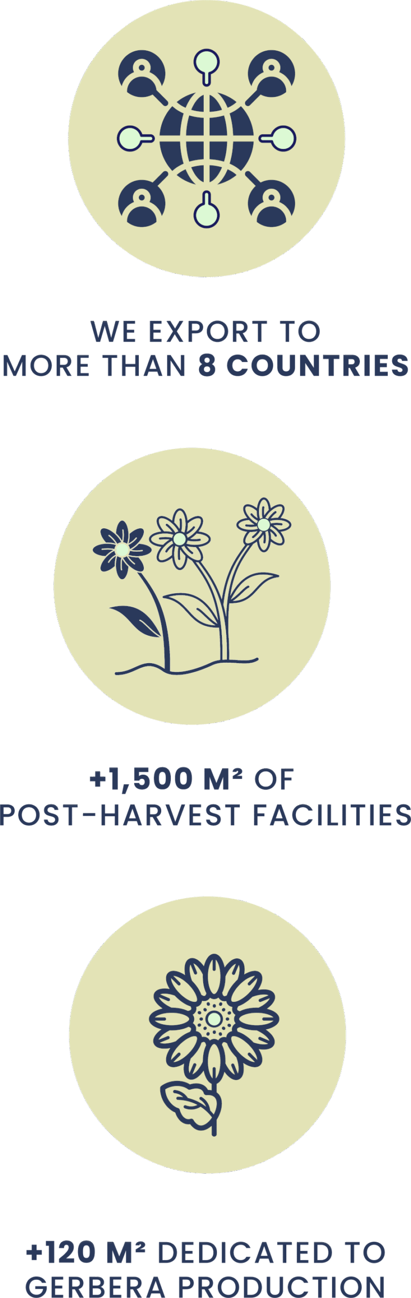 Silvestres Flowers - Regional Presence