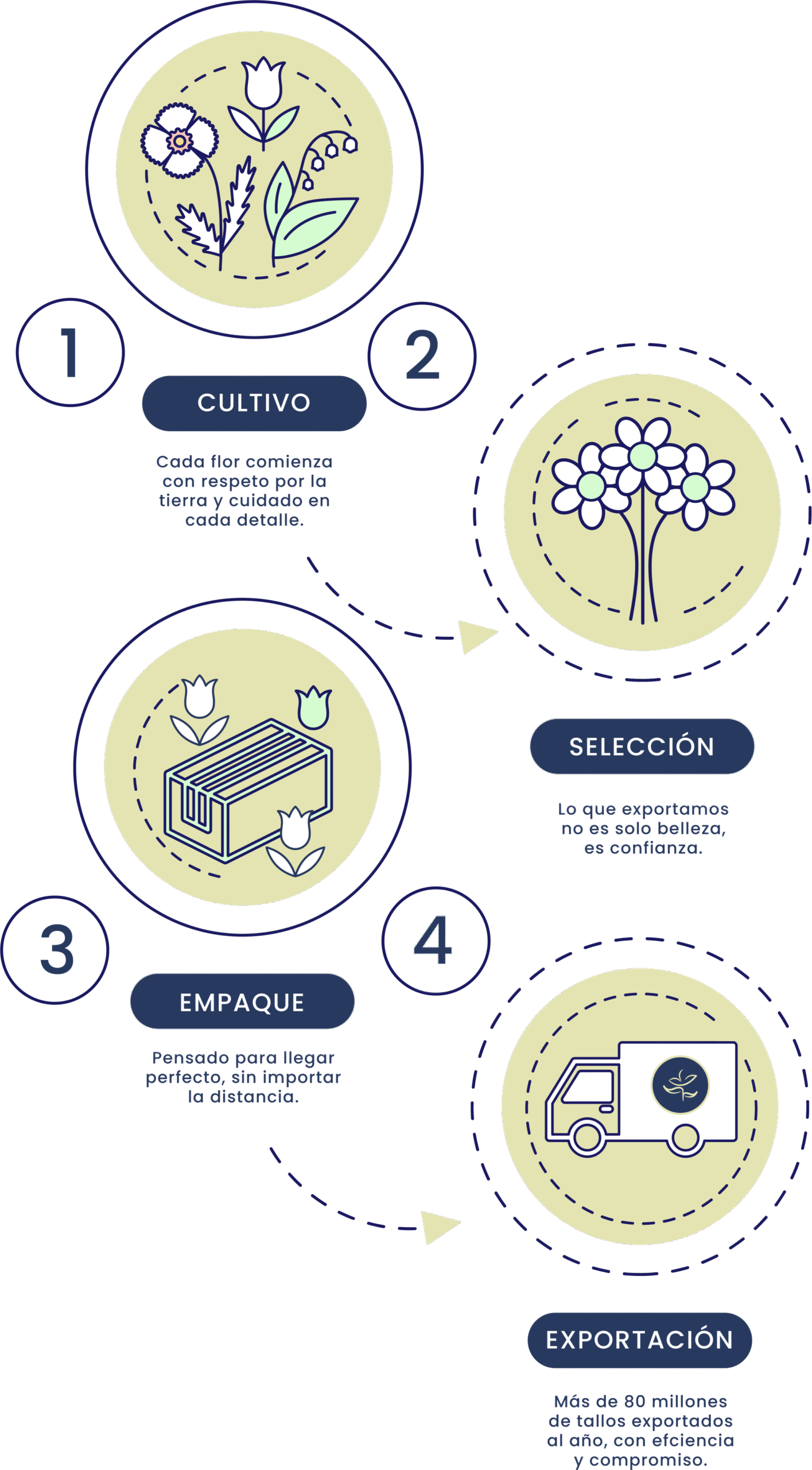 Silvestres Flowers - Nuestros procesos