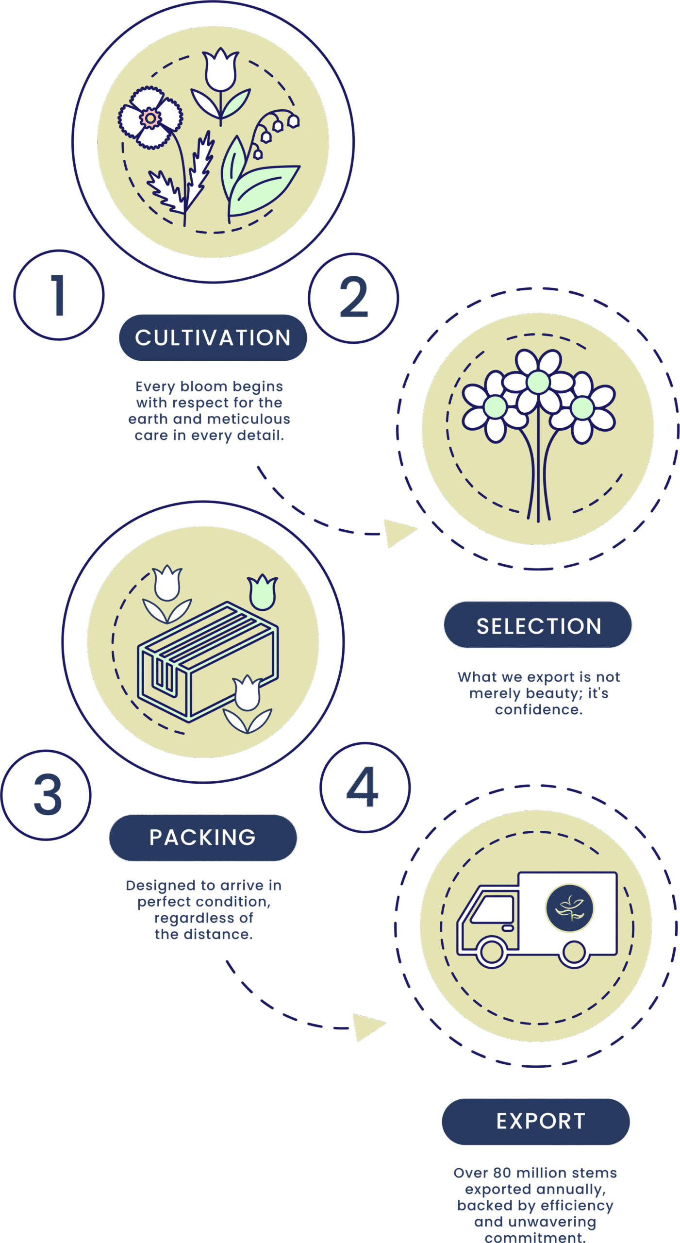 Silvestres Flowers - Our proccess