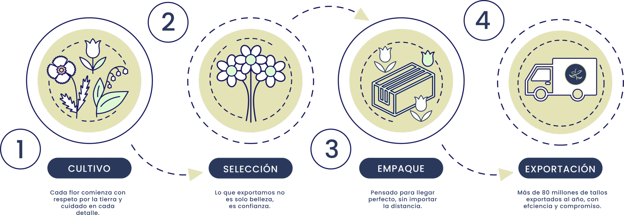 Silvestres Flowers - Nuestros procesos