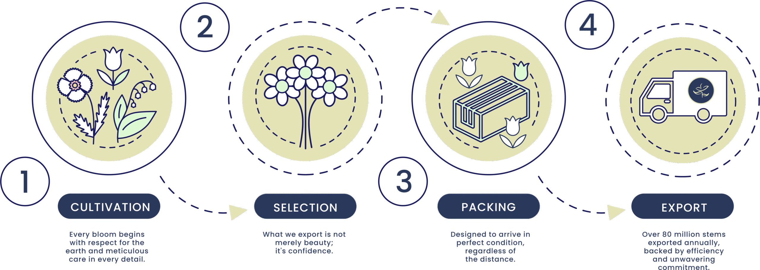 Silvestres Flowers - Our proccess