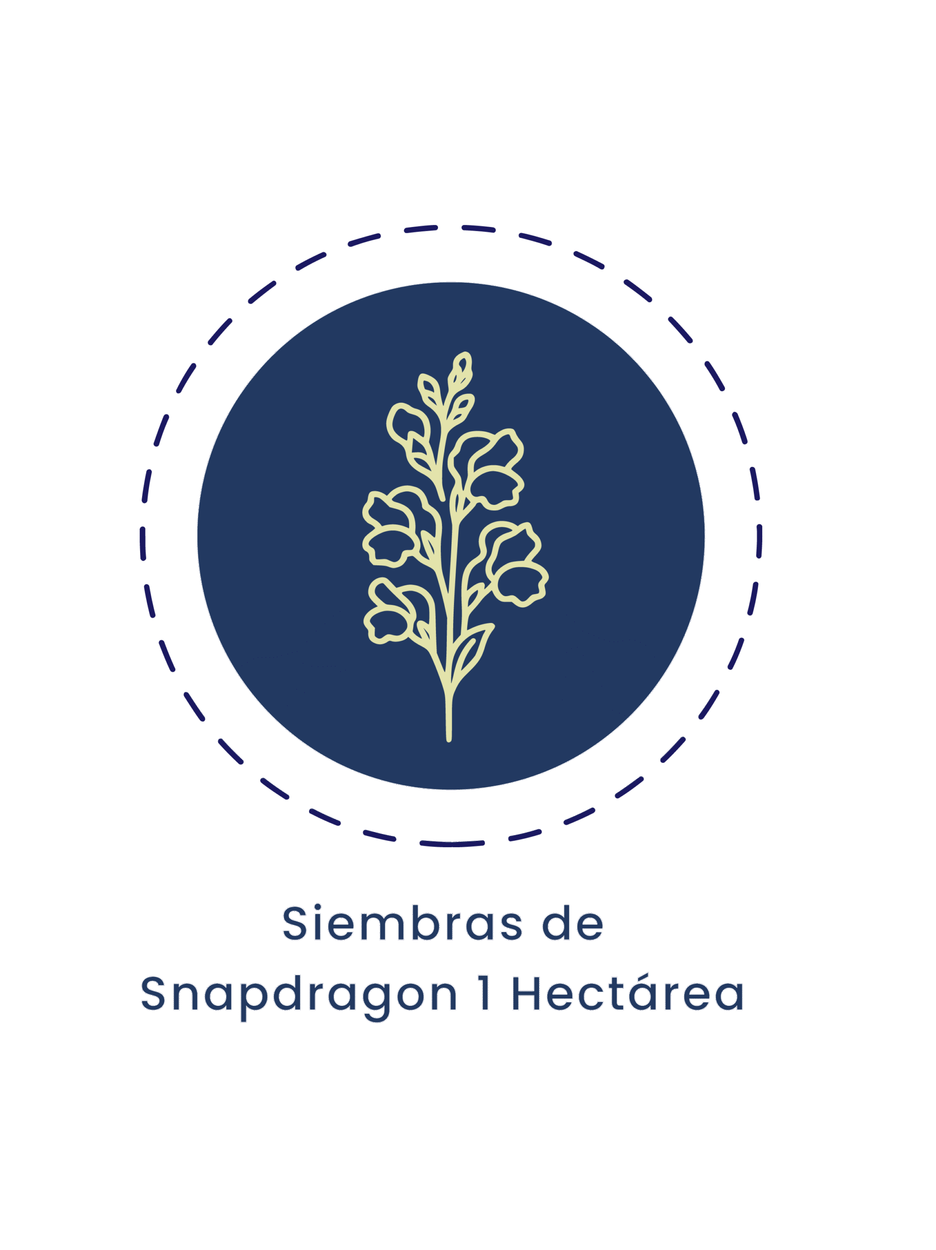 Silvestres Flowers - Fincas